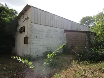 Shop & Retail Property