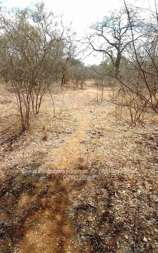 Residential Stand For Sale In Buffalo Range Chiredzi Rural (Low Density)